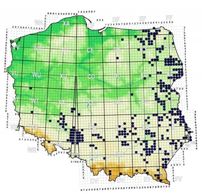 mapa tymczasowa