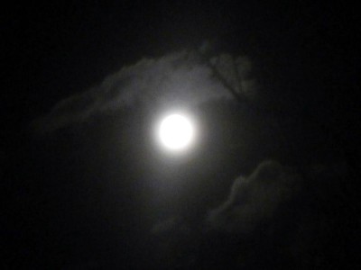 Jak już wspomniałem była pełnia księżyca, co ponoć ćmom nie służy...
