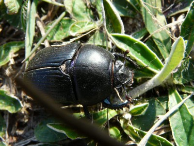 Lasocin, październik.