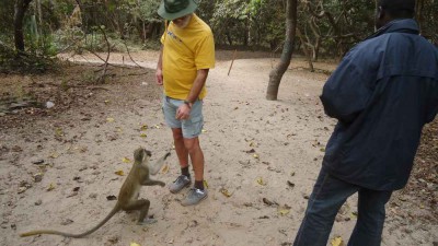 A to ja karmię małpy w Bijolo Park