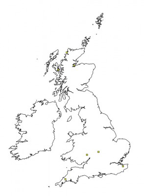 map P. vittatum.jpg